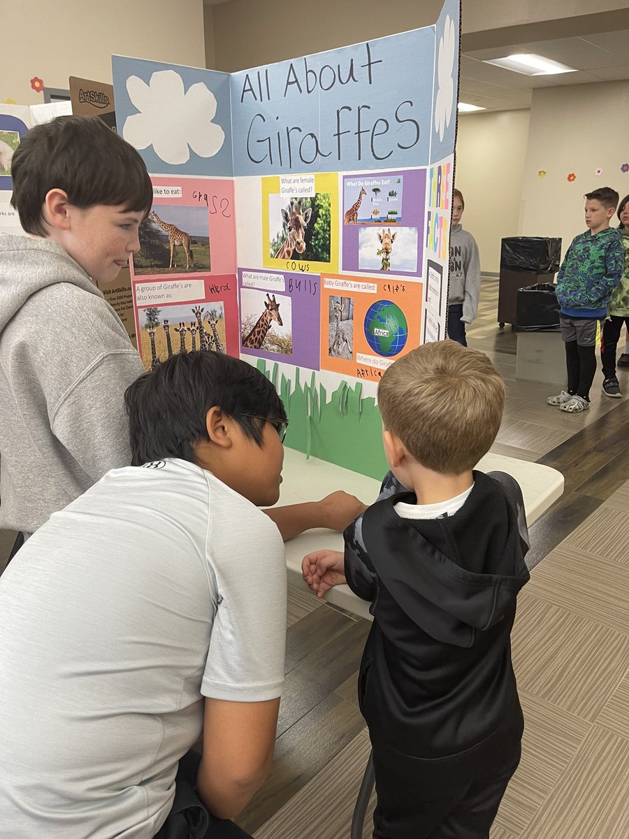 BV_East's tweet photo. Kindergarten had an amazing animal fair on Friday. These kids are biologists for sure! @borrenmaa @PaulCraft_Ohio #Barons https://t.co/9gHixi1geO