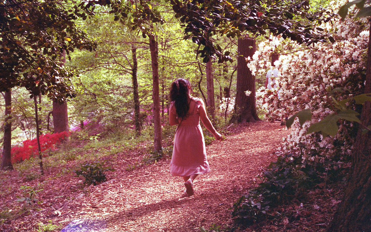 Enchanted

|| Dubblefilm Treat ||