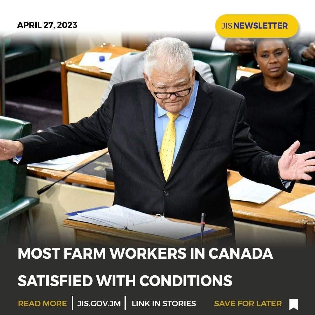duttylaborite's tweet photo. THE @JamaicaPNP USING THEIR HACKS TOLD #PURELIES INCLUDING @JohnPolack4 @2Brushie @rovertsirrah LIES ABOUT THIS ISSUE NOW WHEN ITS PROVEN TO BE A COCK & BULL STORY WHY UNO SILENT NOW NO APOLOGY JAMAICA IS TIRED OF PNP & @MarkJGolding & #CONSTANTLIES NONE OF THIS HELP PNP CAUSE https://t.co/gVmRG0BVdo
