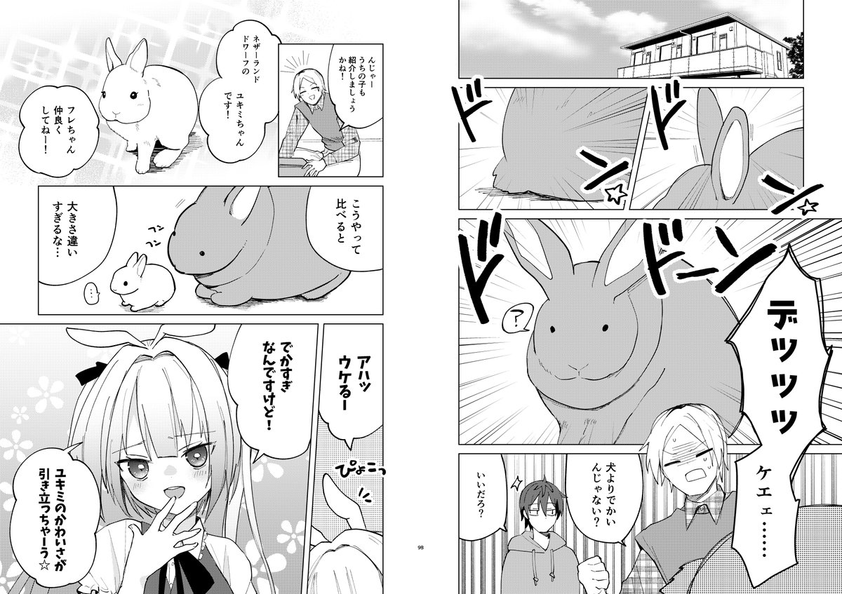 白尾こじょ❄ on X