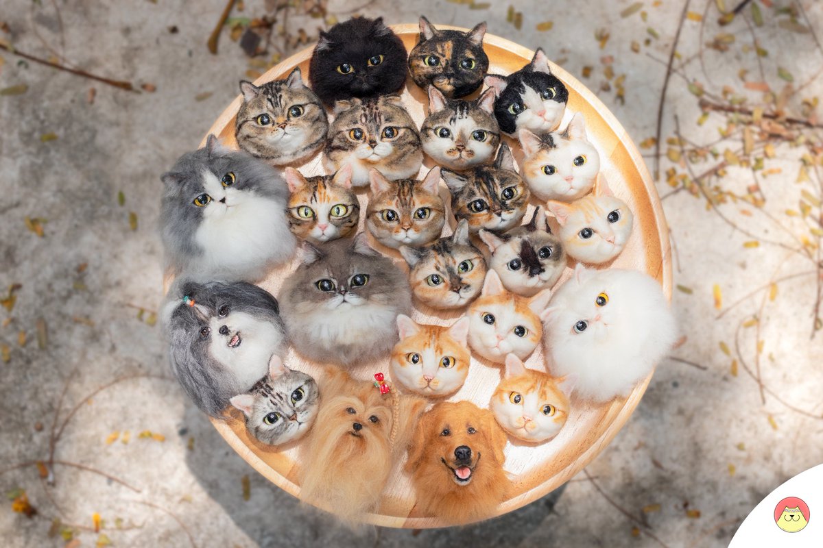 memwa_handmade's tweet image. ร้อนๆแบบนี้รับลูกแงวหัวเล็กๆสักหัวไหมค้าาาาา😁
แม่ๆทุกคนเตรียมตัวรับลูกๆกลับบ้านได้เลยค่ะ

.
#minicat #minidog #handmade #needlefelting #needlework #needlefelted #needlefelt #woolart #woolfelted #woolfelting #cat #catart #catface #dog #dogart #dogface #art #ใยขนแกะ