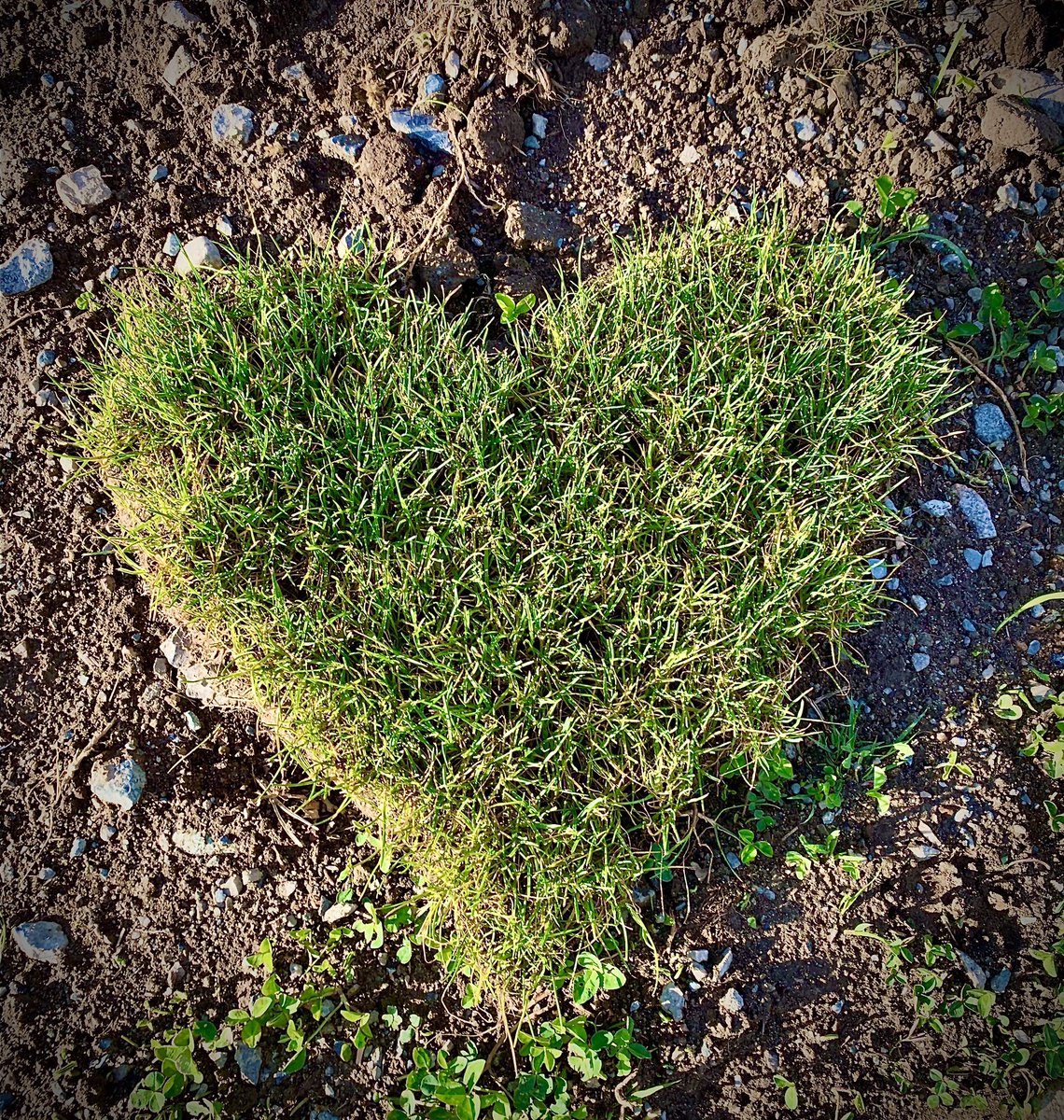 Ian_A_MacDonald's tweet photo. Yesterday #KMac learned that one of his #Back2BackYardAttack and high school friends passed away suddenly. We talked about it of course. We ended the conversation with “I love you”. #TeamMacDonald ends all conversations that way. #Love #Family #Gratitude https://t.co/iJ2HZesKde