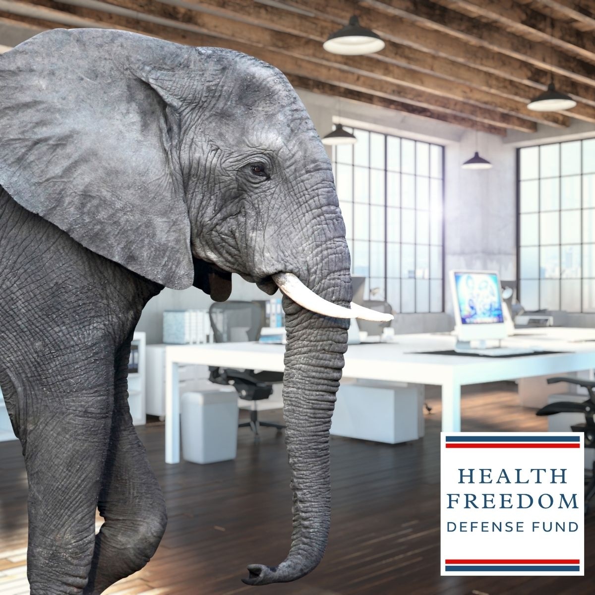 theHFDF's tweet image. There’s a HUGE elephant in the room regarding the C-VID narrative. Leslie and Luther ‘Cyrus’ Bass discuss that elephant, the cult of the expert, Damar Hamlin, and the massive uptick in athlete cardiac events and what we're doing about it.

#standintruth

healthfreedomdefense.org/cohf-episode11/