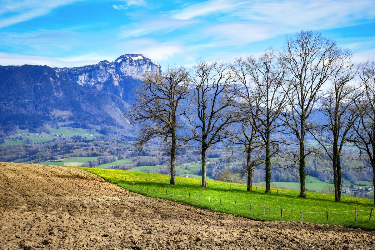 Mon_Grand_Est's tweet photo. 📸 Photos de printemps prises il y a quelques jours dans la région d'Annecy (village de #Groisy).
En savoir plus sur le blog > https://t.co/pJvtZYehfL
.
.
#Annecy #annecymountains #AuvergneRhôneAlpes #EnFranceAussi #ExploreFrance #MagnifiqueFrance #frenchmoments #SavoieMontBlanc https://t.co/KOIhAWw0G4