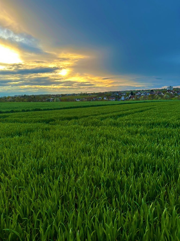 Hayat, biz gelecek için planlar yaparken, 
Hayat başımızdan geçenlerdir.