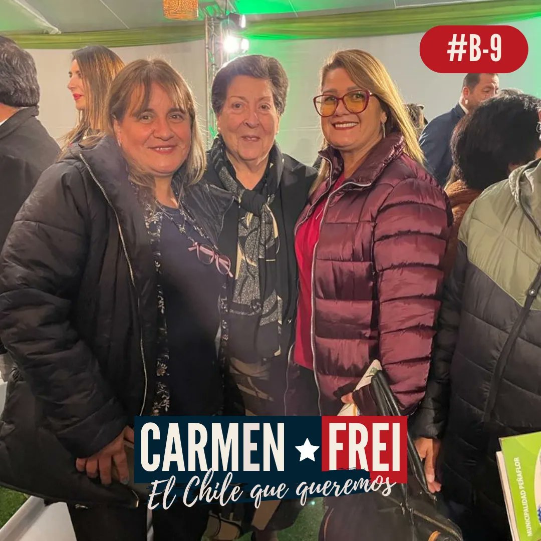 Carmen Frei #ConsejeraConstitucional tweet media