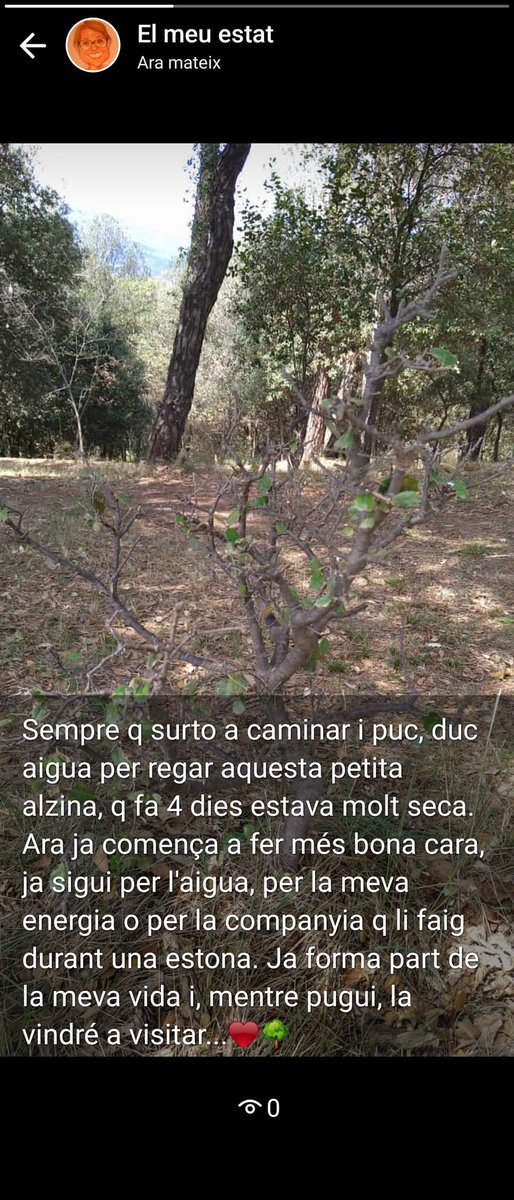llibertat67's tweet photo. Bon dia a tothom! 🍀🌹🌞🤗
Us presento el nou membre de la meva familia. Des de fa uns temps, forma part de la meva vida...♥️🌳
#LaNaturaTéVida
#SOSNatura
#CuidemElNostrePlaneta https://t.co/tWzl342OBs