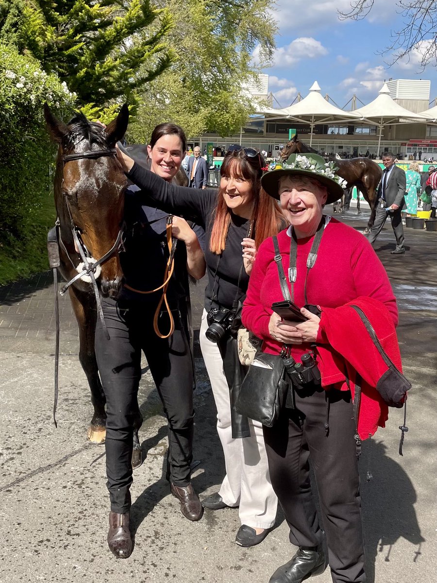RacingTV's tweet photo. Frodon typically gave his all under Bryony Frost in today’s bet365 Gold Cup before fading. The 11-year-old still has plenty of fire in his belly. @Sandownpark #JumpFinale https://t.co/dPMJfEStcf