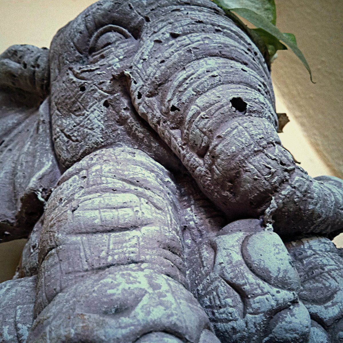 O que você sente ao olhar para a imagem?