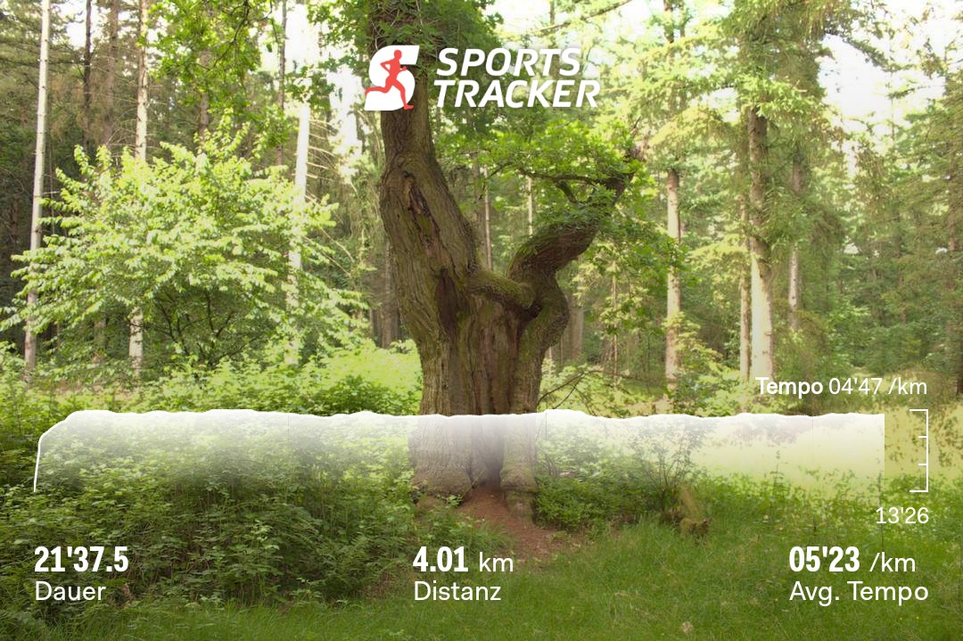 Laufen_starten's tweet photo. Lauftraining: 4 km Renntempo
#laufen #lauftraining #laufenstarten #running #run #laufblogger #laufmotivation #laufenverbindet #laufenistleben #laufenlaufenlaufen #laufenmachtspass #laufenmachtdenkopffrei #laufliebe #runninglove #runfluencer #laufmotivation #fitwerden2023 https://t.co/VgXpXZPvil