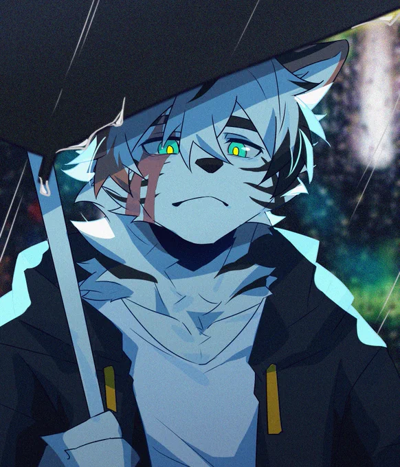 淋雨一直走