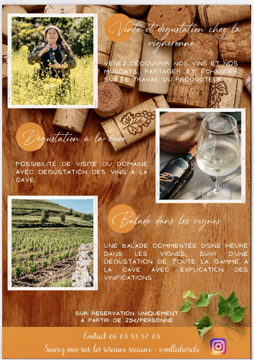 Nous vous proposons des balades dans les vignes suivies d une dégustation et d une visite de cave , pensez y , pour un week-end ou même en idée cadeau ,
N hésitez pas à nous contacter si vous avez des questions ( possibilités de devis pour comités de entreprise etc )