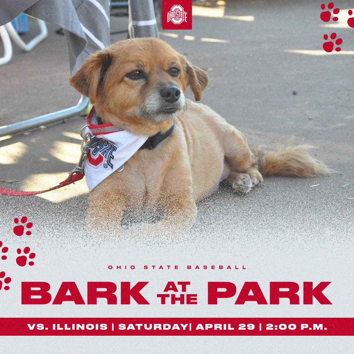 OhioStateBASE's tweet photo. Lettin' the π out today for Bark at the Park π€©
π: Illinois
π: 2:00 p.m.
π: Columbus, Ohio
ποΈ: Bill Davis Stadium
π₯($): https://t.co/FJbKmEX5cx
π»: https://t.co/1fqLFWFbxP
π: https://t.co/ZpDCXvtFkw
#GoStats https://t.co/i79aqkjB9H