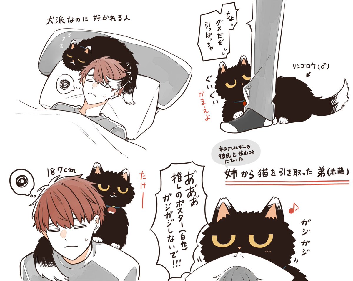 姉の猫を引き取った弟 