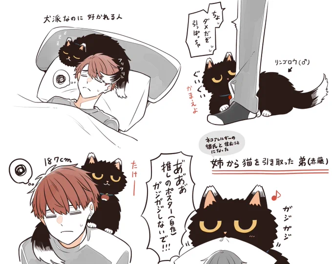 姉の猫を引き取った弟 