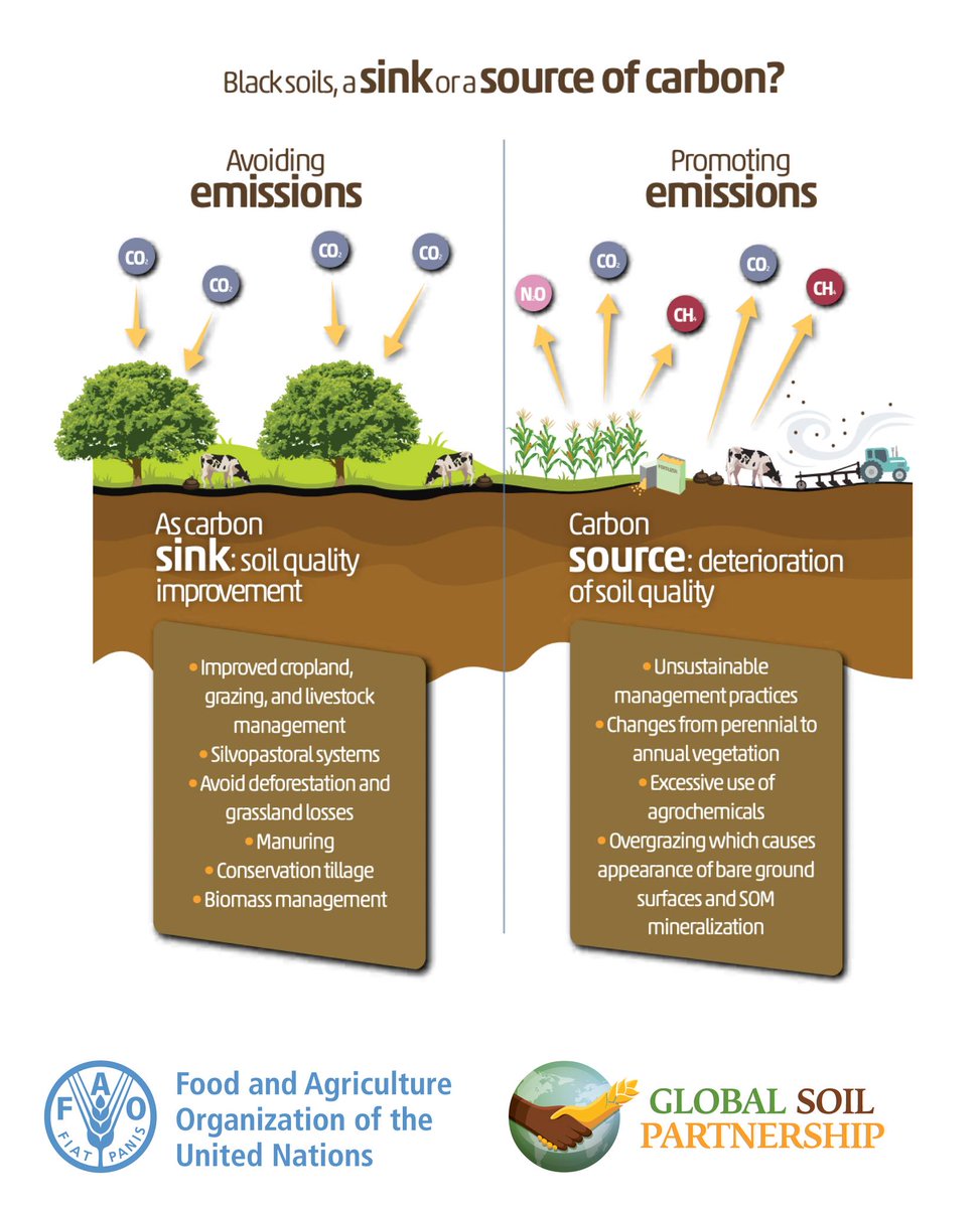 FAOLandWater's tweet photo. #DYK about the duality that lies behind #BlackSoils❓

They can act as carbon sinks &amp; help to mitigate #ClimateChange OR as carbon emitters &amp; contribute to the problem.

📌 More in "The Global Status of Black Soils"➡ https://t.co/kmORkLvRid https://t.co/glbIRkaGwD
