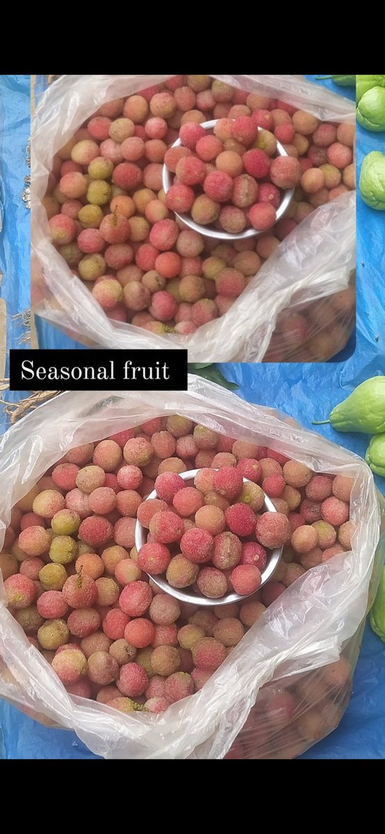 ChonglungS's tweet photo. Chinese payberry  locally known as #yenchük is a popular seasonal fruit among Phom naga.. https://t.co/mnChNJJZ8q