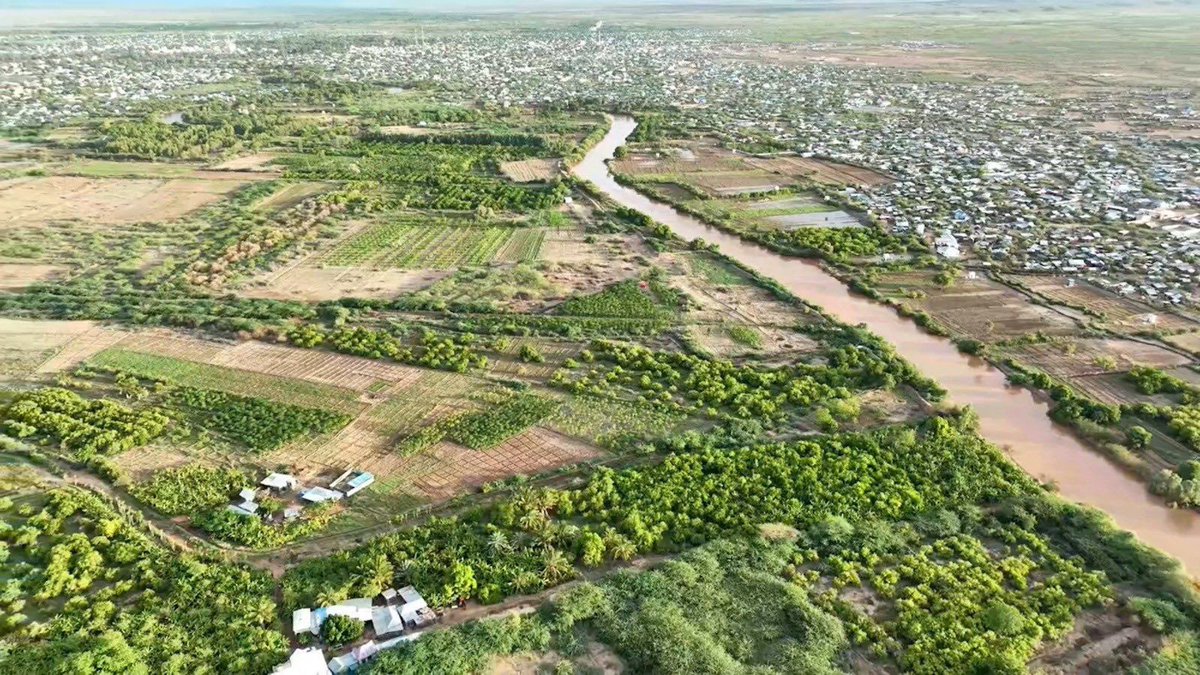 AbdiaziizSiidii's tweet photo. Stunning pictures of Beledweyne, the provincial capital of Hiiraan, the most scenic town in central Somalia where Shabelle river weaves through; it is one of the richest towns in the country in the areas of agriculture and livestock
#Beledwayne
#greencity https://t.co/gupxK3isZ3