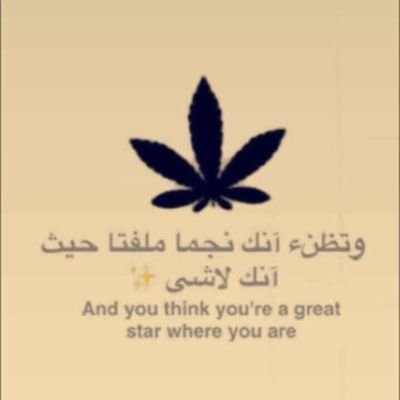 ابو عبدالله (@madinah2145) on Twitter photo 