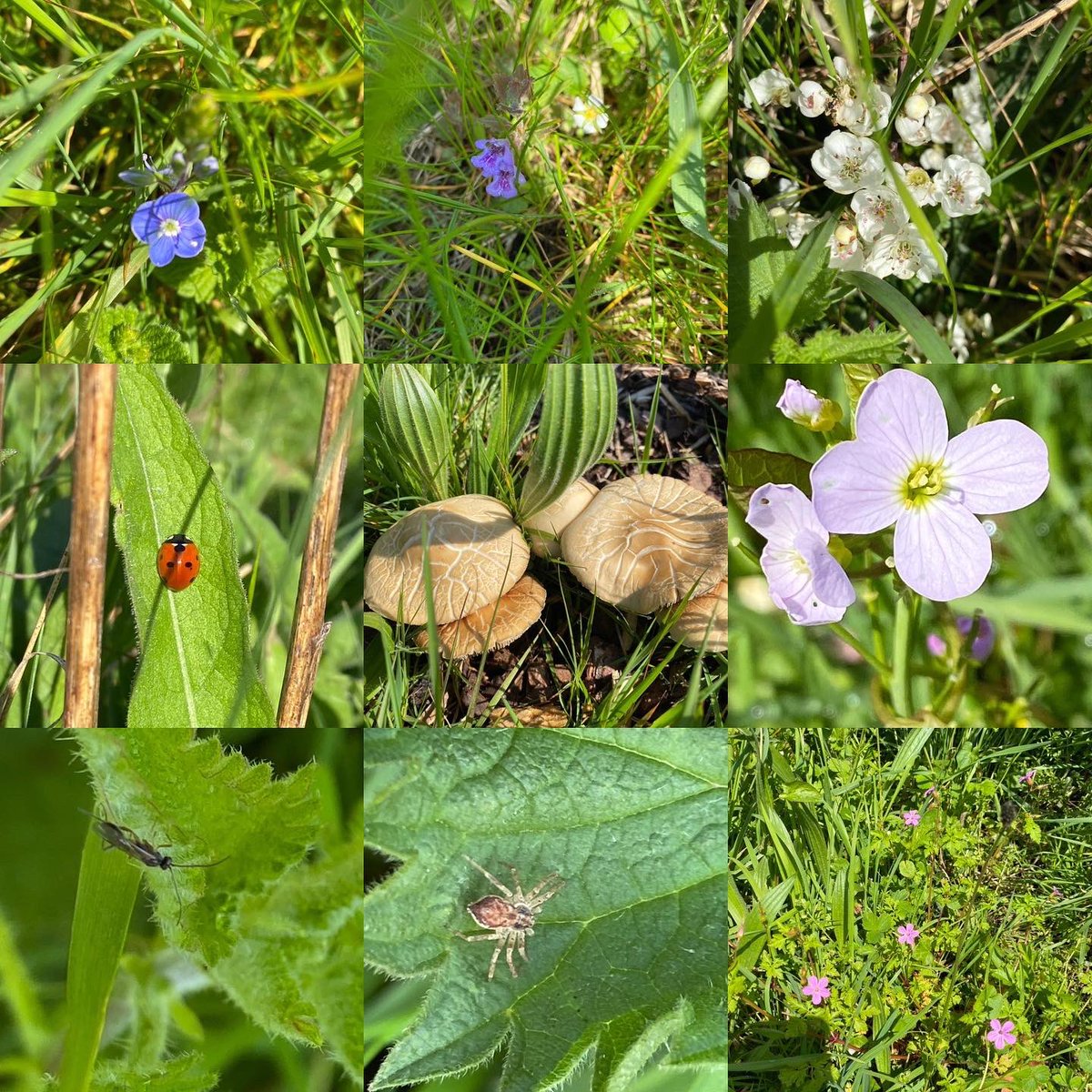 FriendsOfDunvantPark tweet media