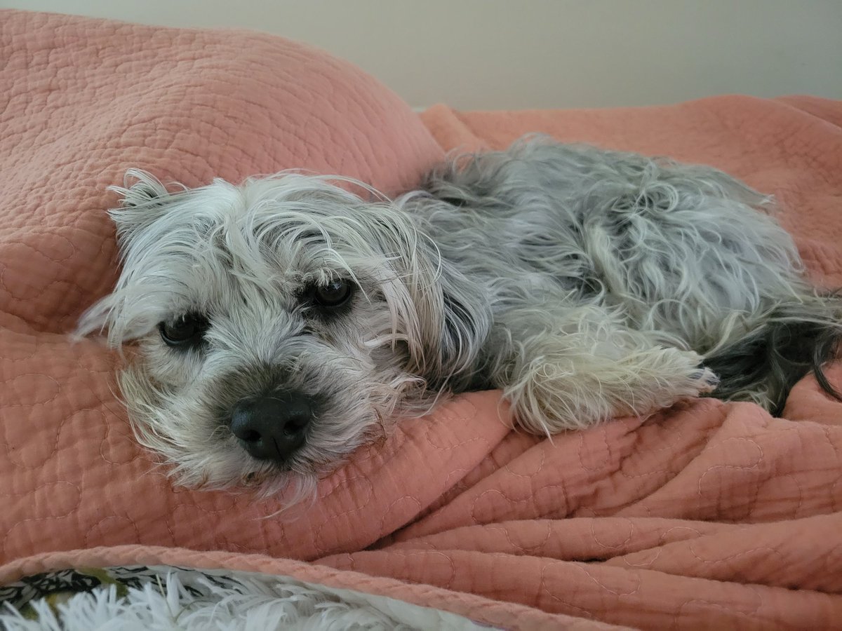 Saturday morning vibes (leg cred: bean)