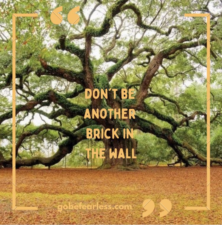 You are limitless 🧡