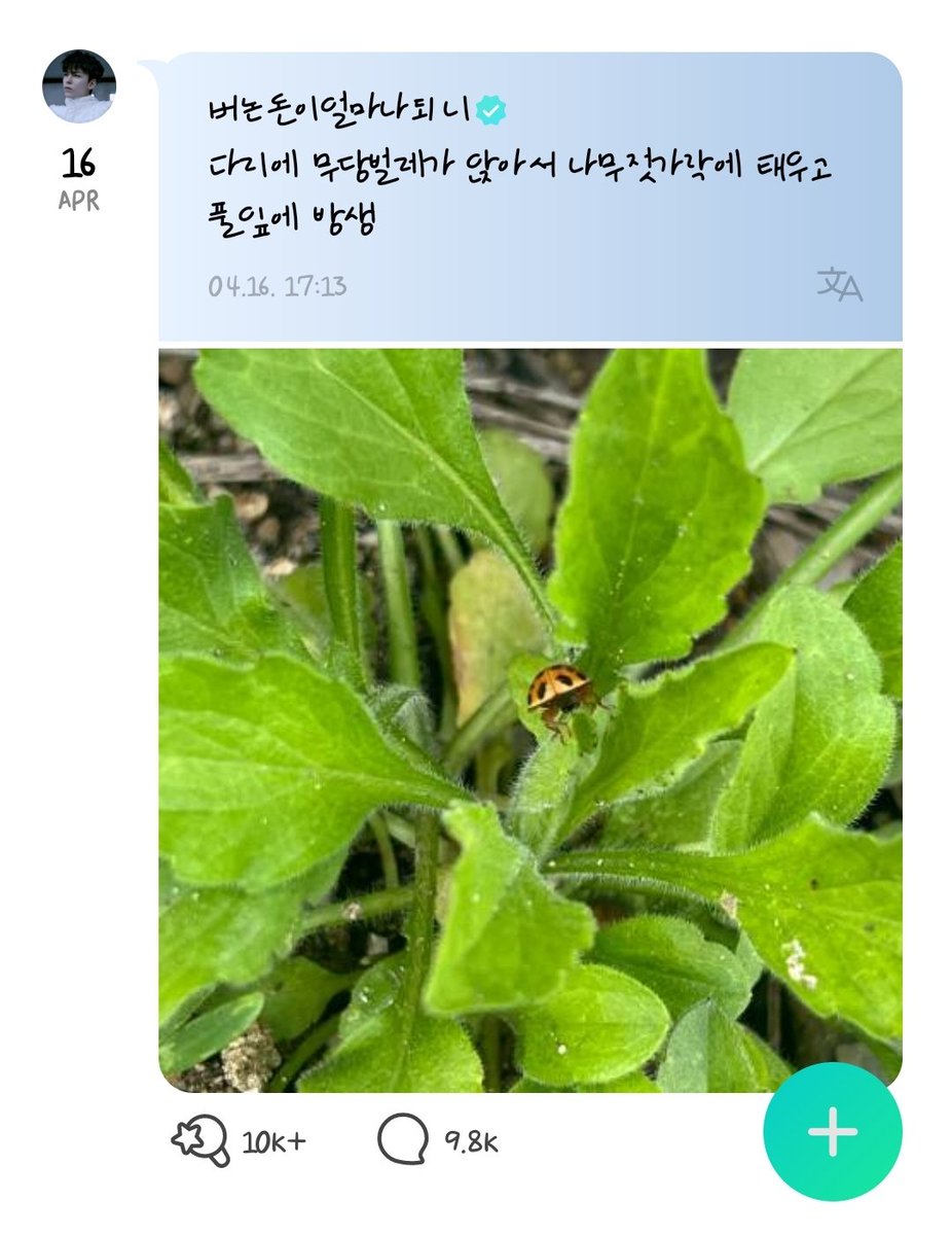 #츄낫체 #세븐틴폰트 
독특한 감성을 담은 #버논체 #츄낫체 배포합니다!
생각보다 가독성도 괜찮지만, 지하철에서 트위터를 해도 아무도 꿰뚫어 볼 수 없습니다 👽

📷 트위터 / 위버스 적용
📷다운 :  carat17world.com > 카니발폰트샵 > 츄낫체 
📷 사용법 : hturl.kr/axvuks