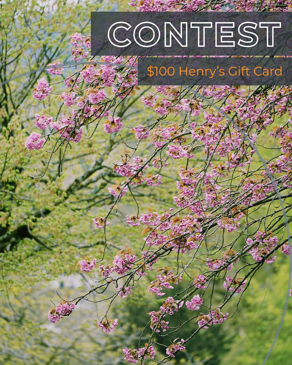 HenrysCamera's tweet photo. It's Saturday and that means it's time for one person to win a $100 Henry's Gift Card. To enter, all you have to do is:⁠
⁠
1. Follow @HenrysCamera⁠
2. Tag your photo/video BFF⁠
3. RT this tweet
⁠
The winner will be announced next week!⁠ https://t.co/QzJEORoxNx