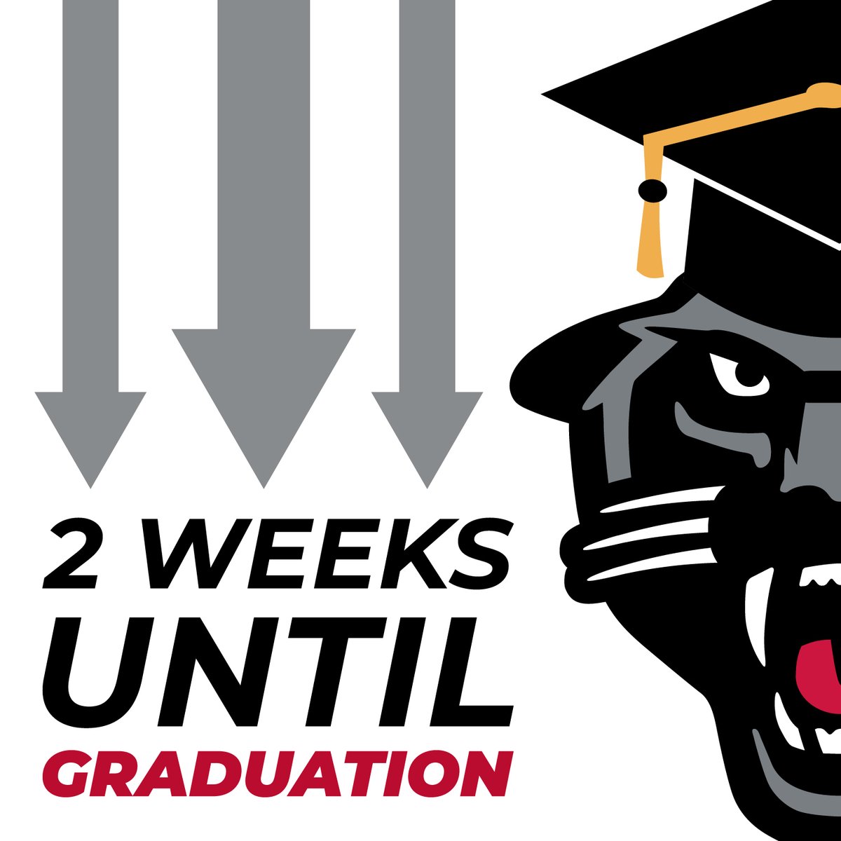 Drury University on Twitter "Only 2 weeks until Drury's day school