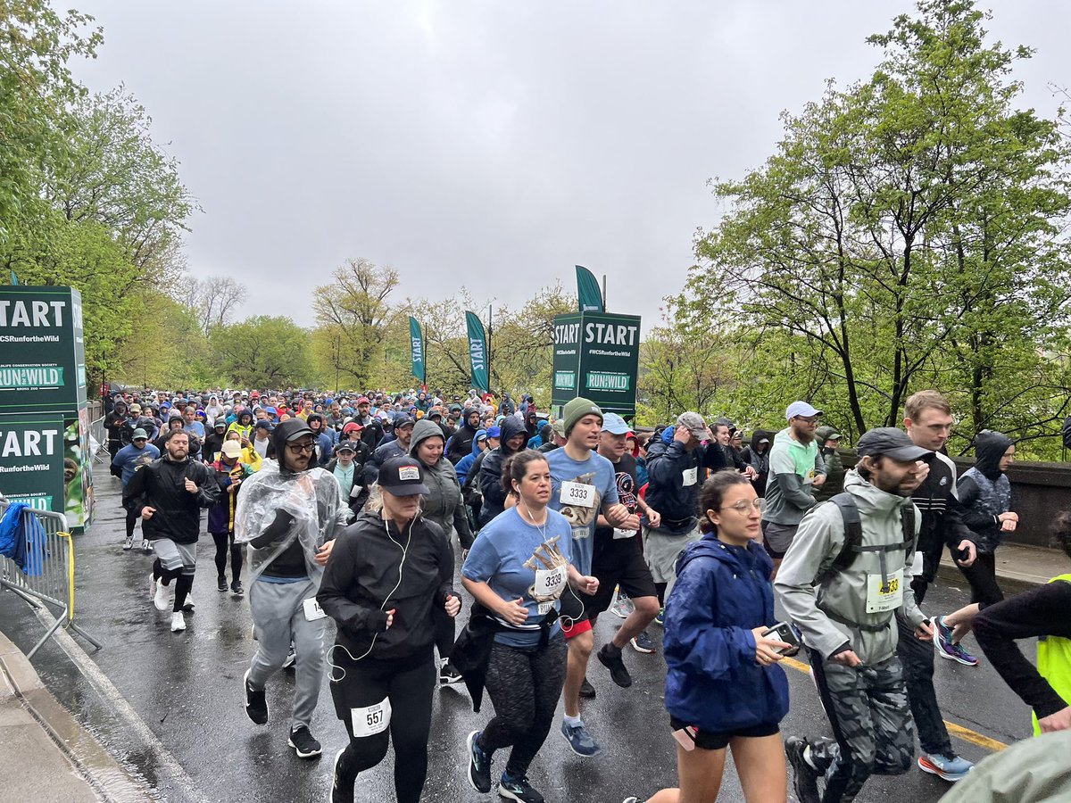 JimBreheny's tweet photo. Great to welcome runners & walkers @BronxZoo this morning for the 15th Annual #WCSRunForTheWild Your support, dedication & passion is sincerely appreciated. https://t.co/JRQVsLUDuW