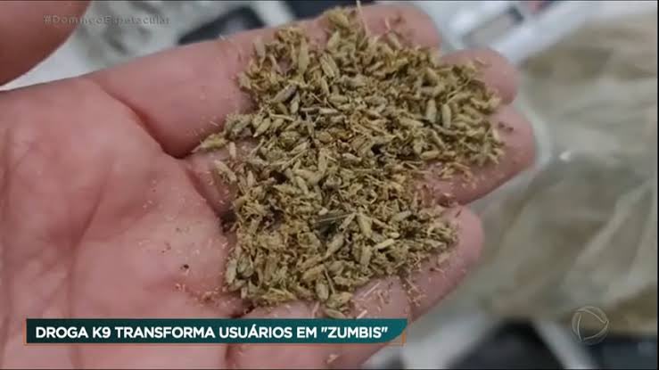 canabisbrasil's tweet image. A aparência do k9 é parecida com maconha desfeita.. oque leva muitas pessoas a se enganarem. 
Então tomem muito cuidado quando forem fumar o beck ou o balão de alguém, pq se for um usuário de k9 vai te levar de ralo.. 

Siga @canabisbrasil