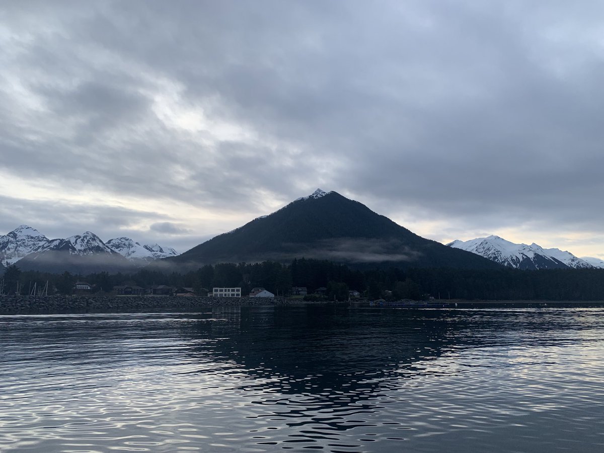 northpacific's tweet photo. Good morning. Let’s do this. Once more with feeling. https://t.co/FVrfGovI08