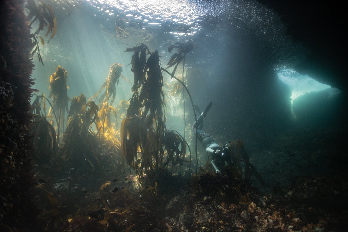 creativemorning's tweet image. We’ve never gotten more submissions for a theme roundup than for #CMMovement! Here's a snapshot of things you shared. Explore all the expressions of Movement on our blog buff.ly/3VedJ7u