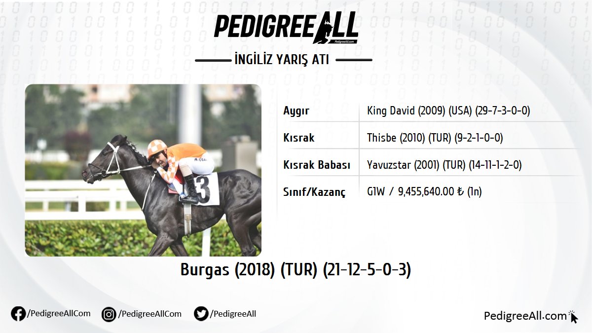 A3 Dünya Veteriner Hekimler Günü Koşusu'nu BURGAS by King David kazandı.

pedigreeall.com/burgas-tur-201…