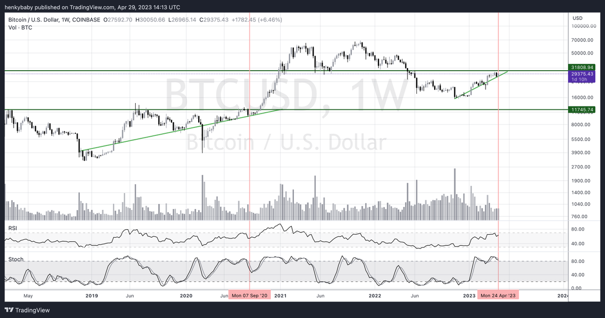 HTL-NL 🇳🇱 tweet media