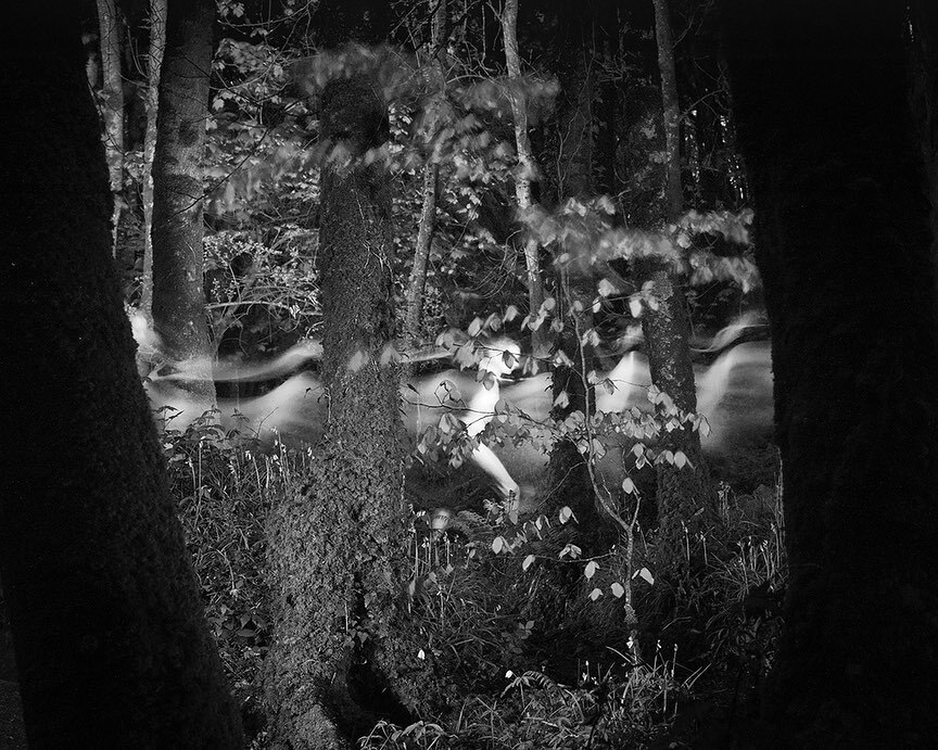 Dominick Tyler tweet media