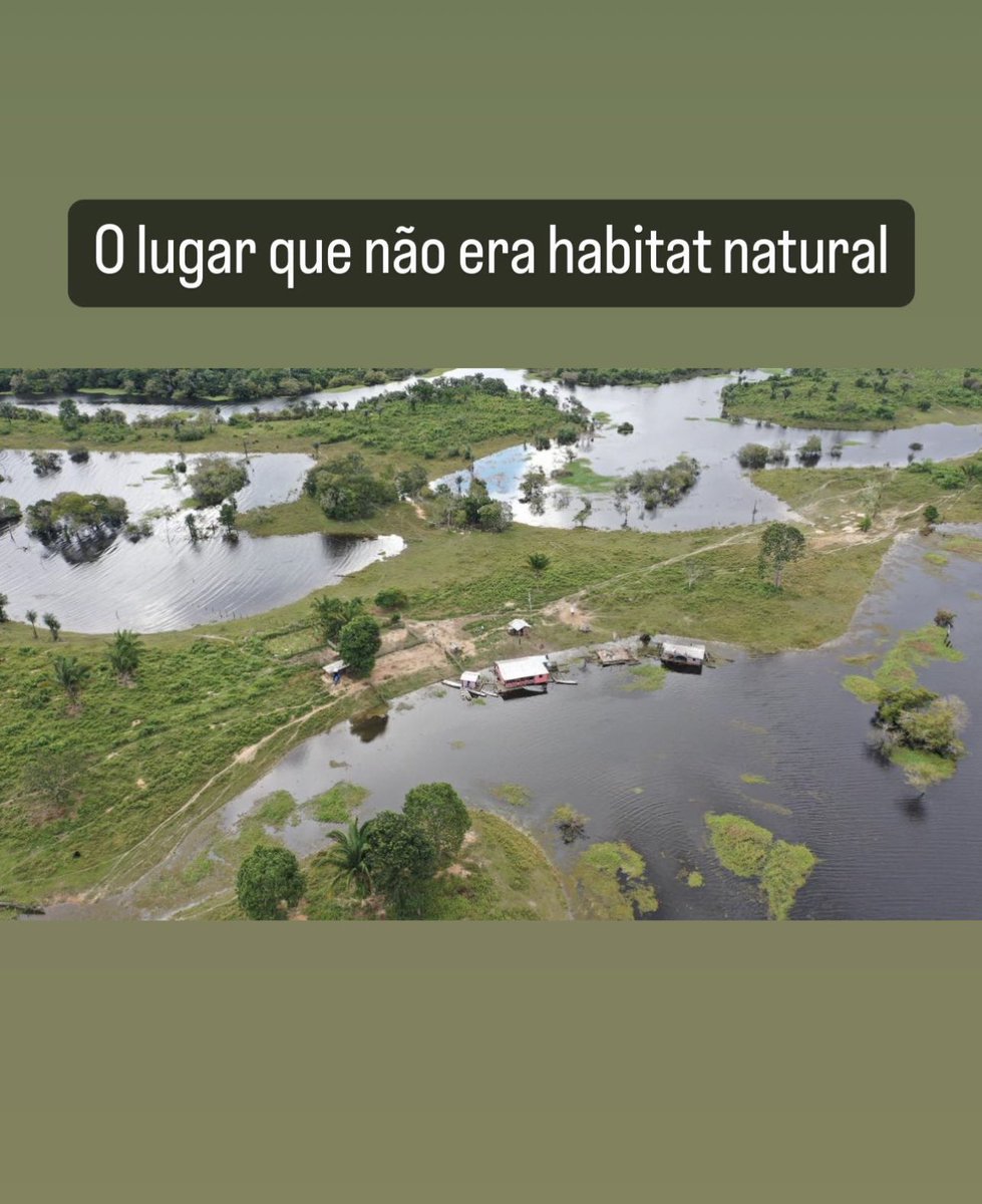 Gilliard_San's tweet photo. Parabéns ao Ibama e a Luiza Mel que tirou a Filó disso (imagem 1) para deixar ela nesse lugar imundo (imagem 2)
#DevolveAFilo #AgenorEfiloJuntos #filo https://t.co/h7q6YgdAED