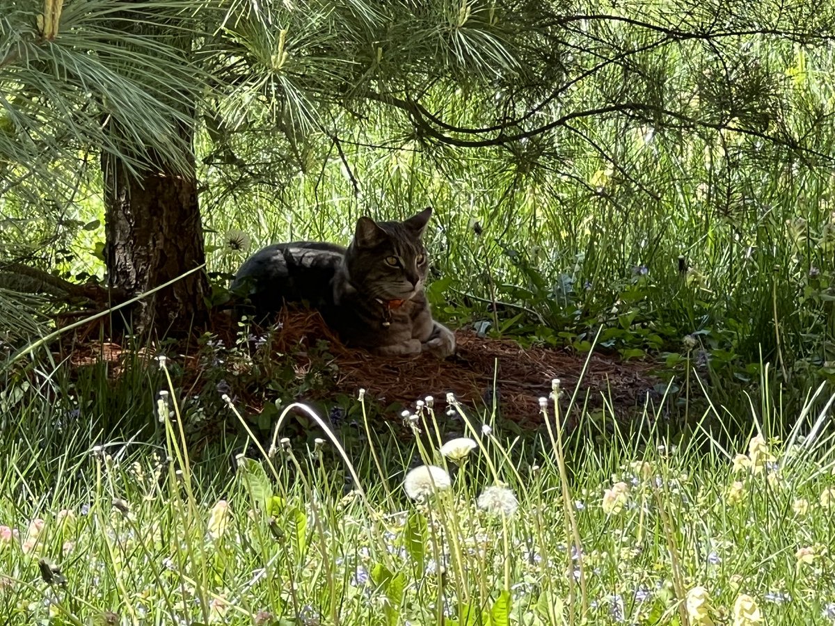 Jenny 🤍 tweet media