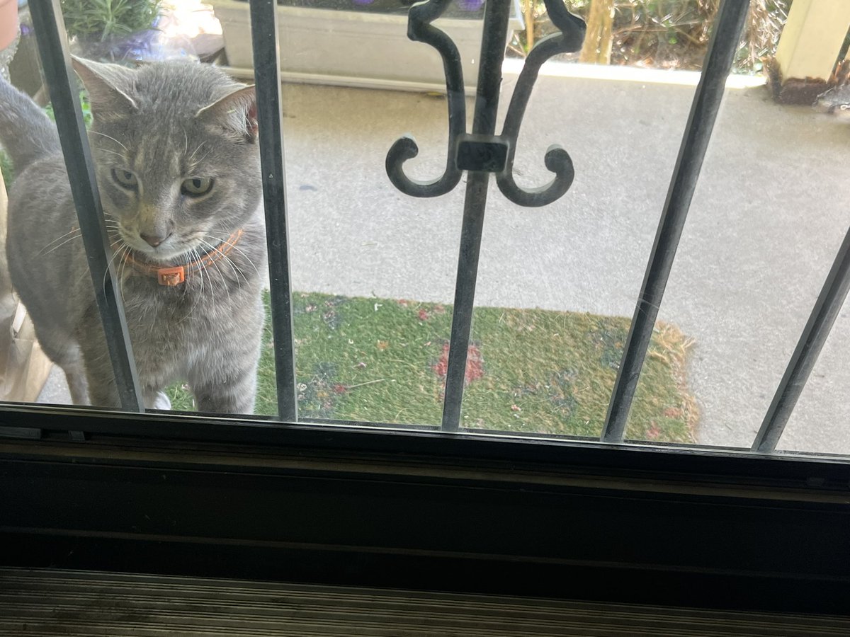 Jenny 🤍 tweet media