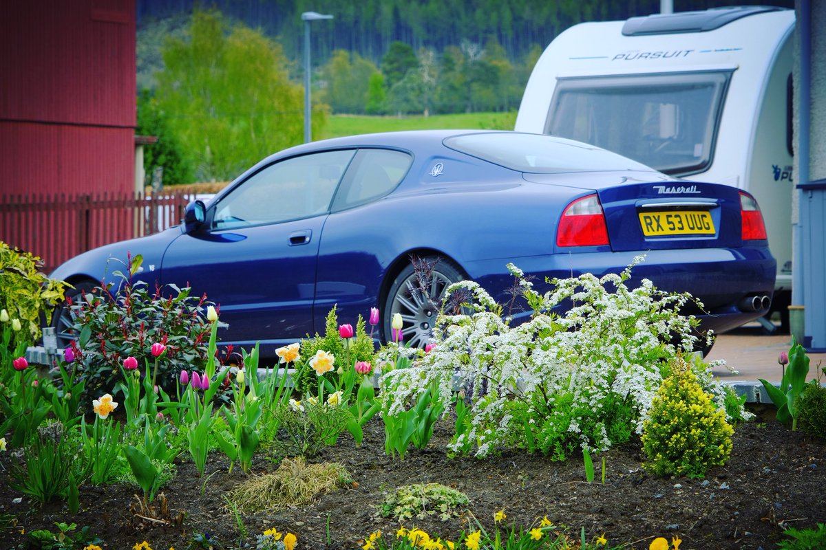 StrathPhoto's tweet image. Spring time has come to Scotland, I’m looking forward to getting out for a drive on the NC500 #nc500 #Maserati #cambiocorsa  #4200 #coupe