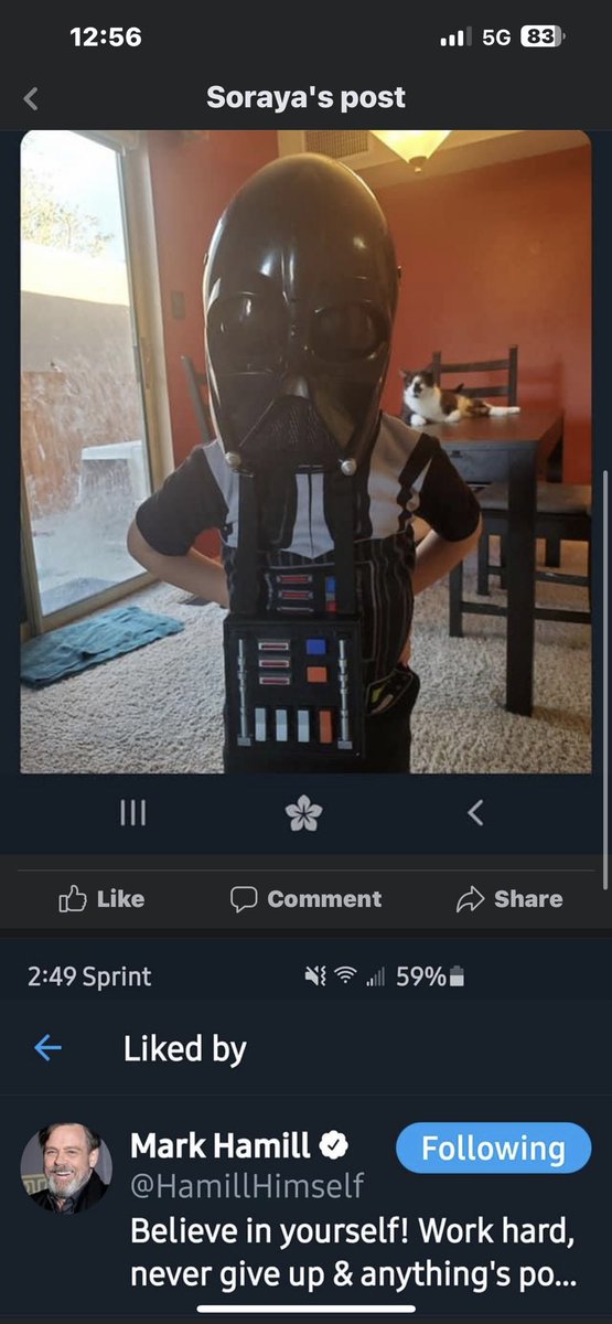 I posted this on Twitter 3 years ago and <a href="/MarkHamill/">Mark Hamill</a> liked it. I showed this to my now 7 year old and he couldn’t believe it! He thinks they are now best friends.