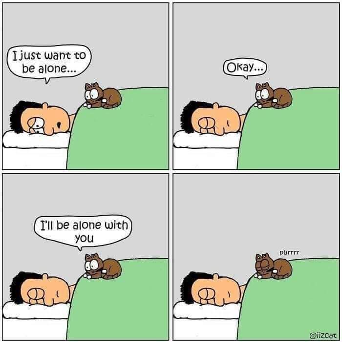 🐾Ciara & Dr ZoppyMD Ⓥ tweet media