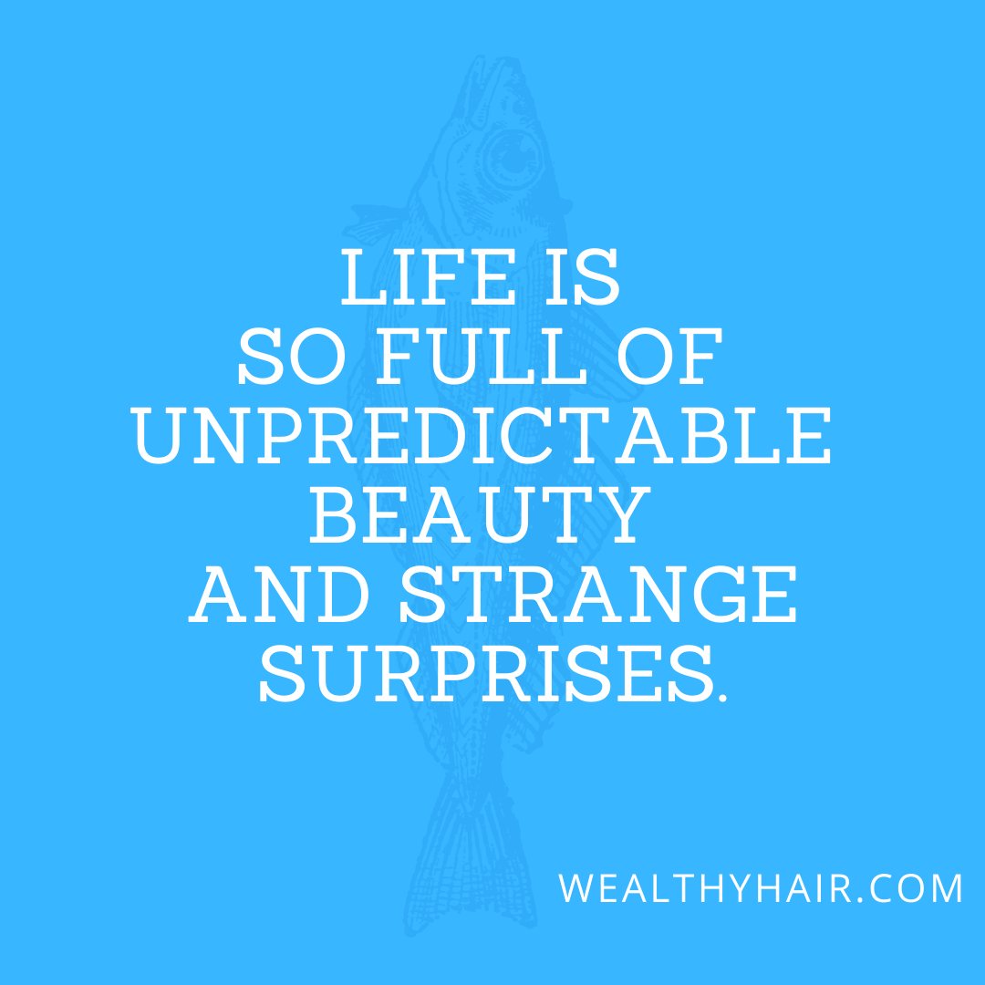 WealthyHair's tweet photo. Always believe in yourself and keep going.

#WealthyHair #motivation #entrepreneur #business #inspiration #goals #instagood #hustle #money #mindset #grind #wealth #businessowner #leadership #success #determination #dedication #passion https://t.co/PGKzDgMT4A