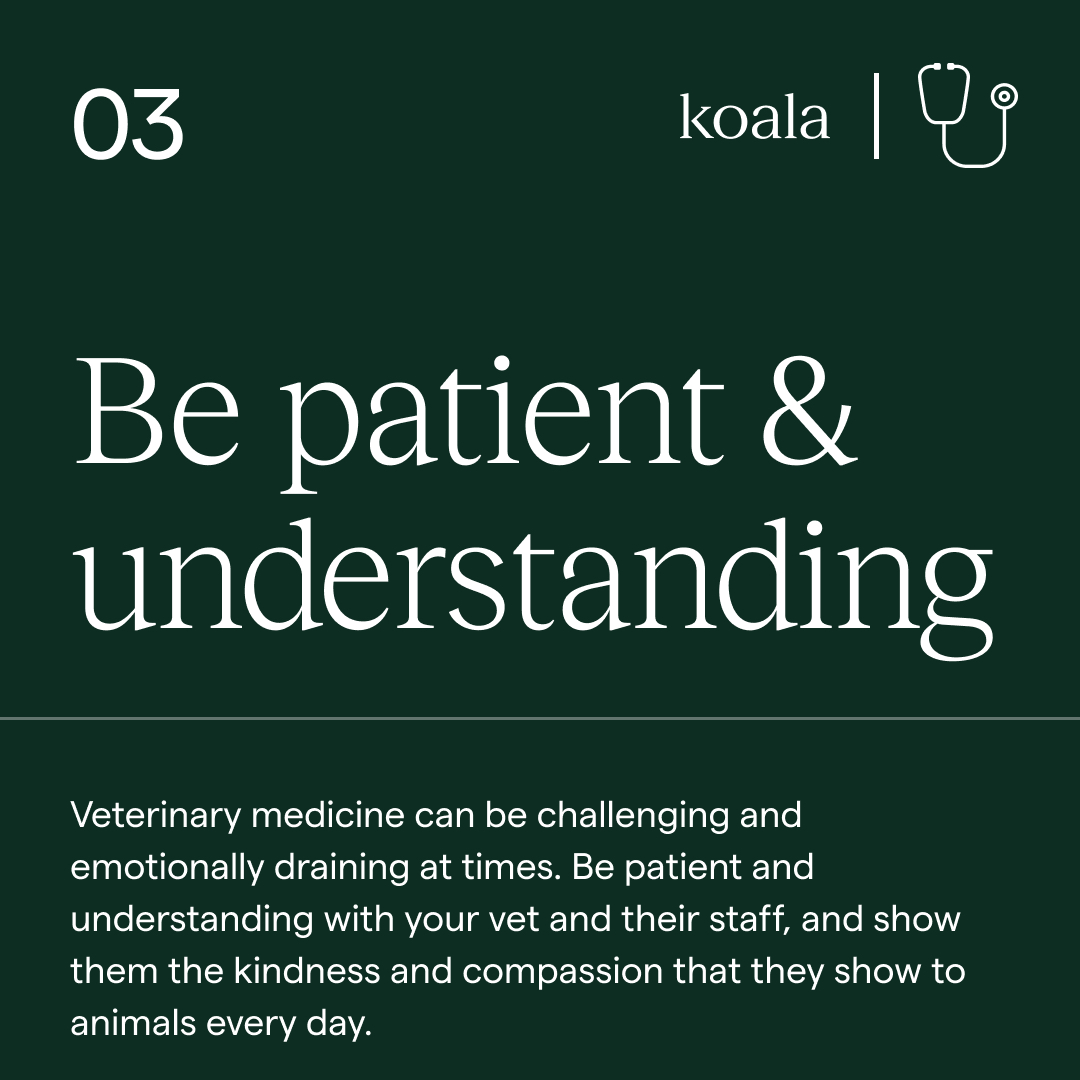 Koala Health tweet media