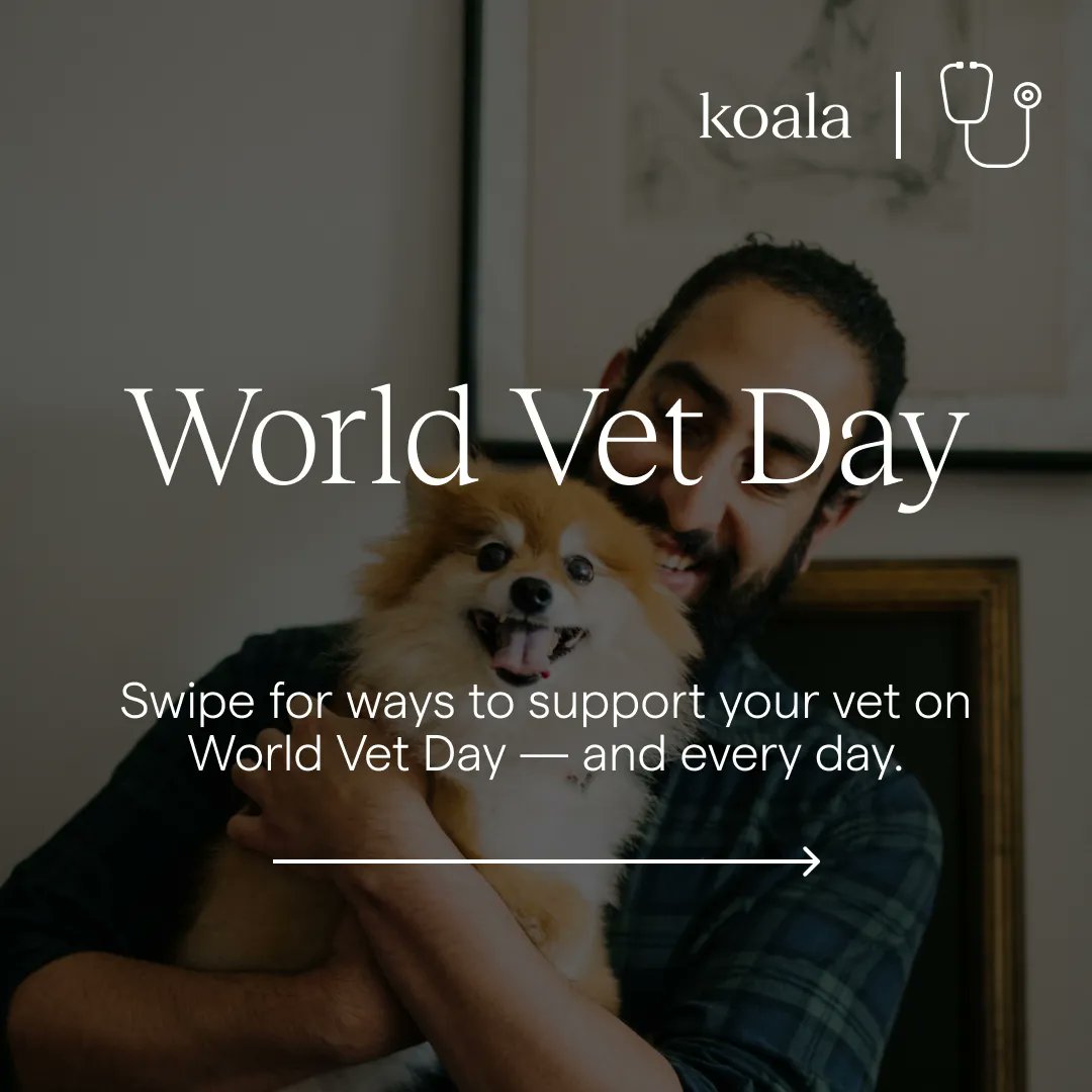 Koala Health tweet media