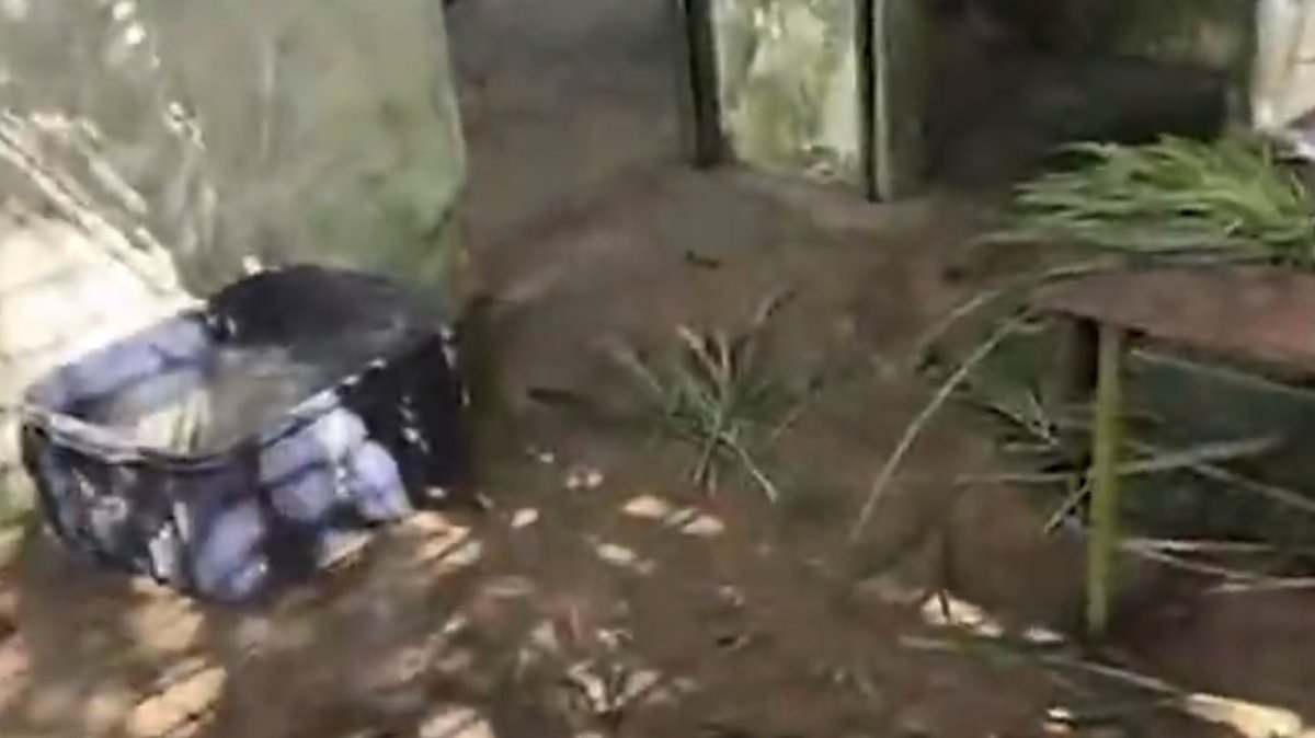 choquei's tweet photo. 🚨ATENÇÃO: Deputada Estadual do Amazonas, Joana Darc, fez uma live em seu perfil no Instagram e mostrou a situação precária em que a capivara Filó se encontrava após ser entregue para o IBAMA. https://t.co/PJVUW5G04n