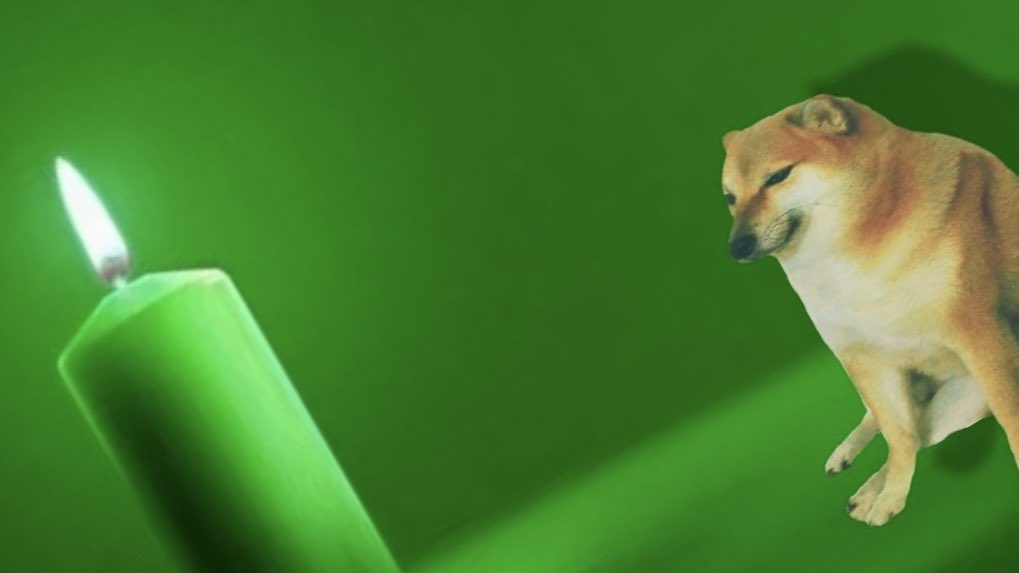 mypreciousdoge's tweet photo. Let’s get it $Doge 🌙🐕🌱✨💚
the green candle has officially been lit 🔥 ! #DogecoinToTheMoon @Dogecoin Doge Coin #Dogemagic #Dogespells #TheWizardOfDoge #dogecoinawaken https://t.co/ovpwjopqt0