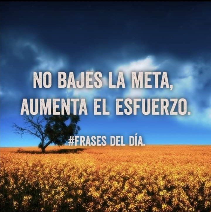 No dejemos de luchar x lo que queremos ! Todo esfuerzo trae grandes recompenzas !!! 🌹🌻😊