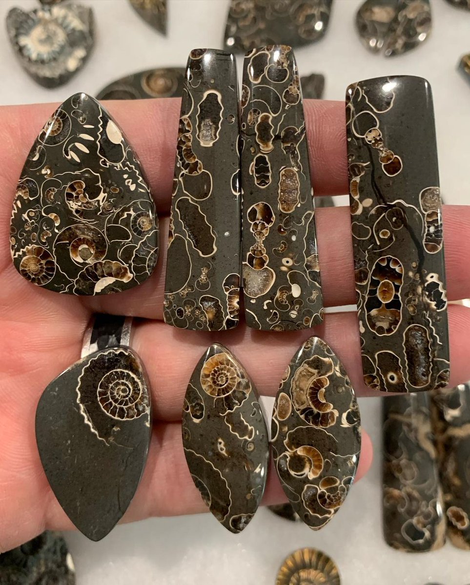 GeologyTime's tweet photo. “Marston marble” is not actually a marble at all, but a conglomeration limestone of tiny, rare ammonites from the Jurassic Period, approximately 200 million years old. from Somerset, England

Photo: Rare Earth Mining Co. https://t.co/YnbxiUkJKb