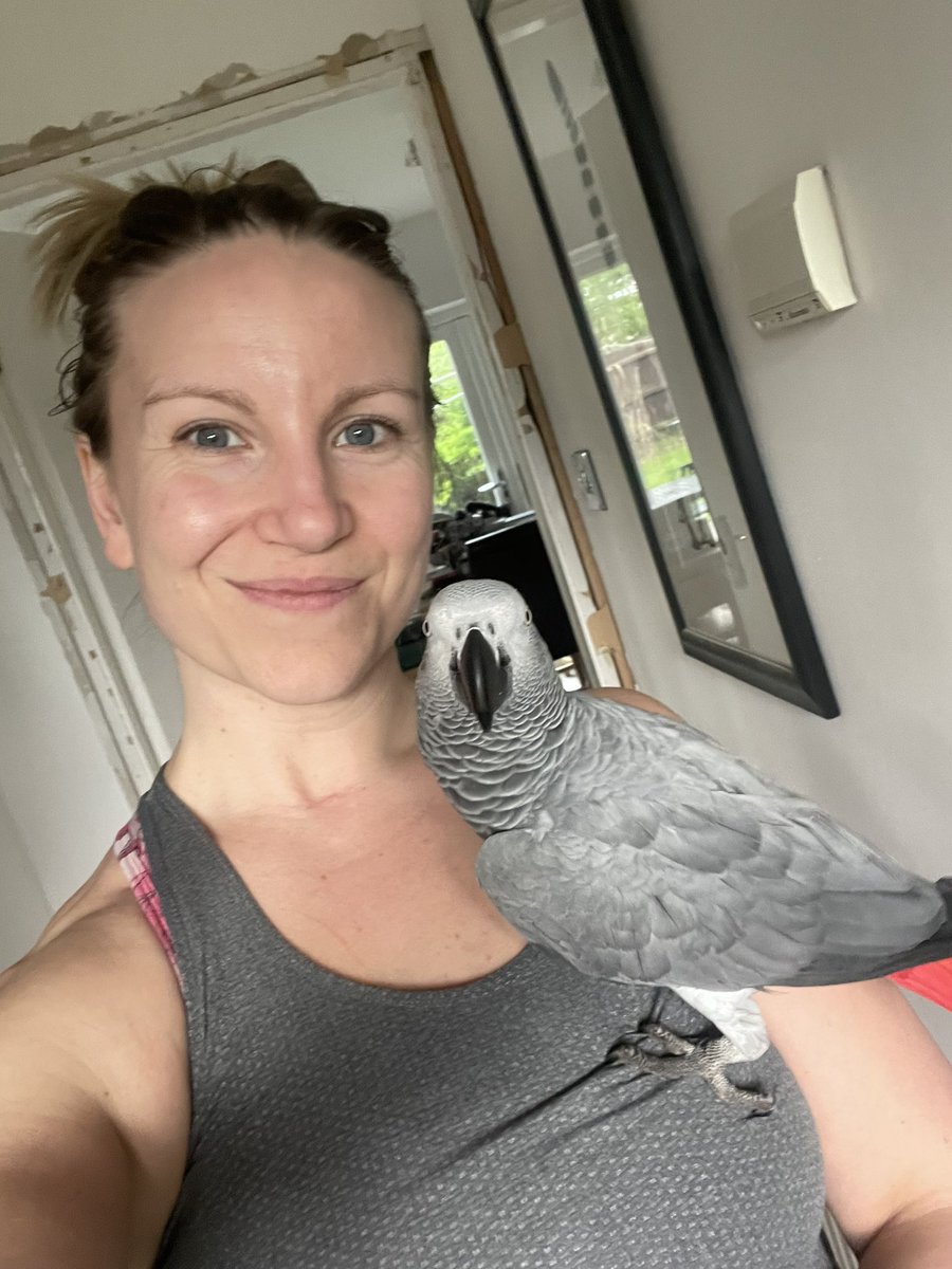 Had the audacity to go to the gym without her and apparently she missed me 😂 #parrottwitter #gymlife #africangrey